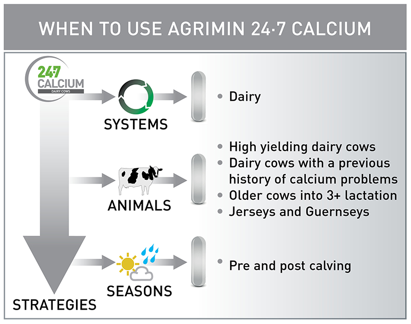 24·7 CALCIUM DAIRY COWS Agrimin